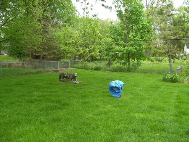 360 Ahlstrand Road Lombard, IL 60148 - Photo 21 of 21 a backyard of a house with trampoline