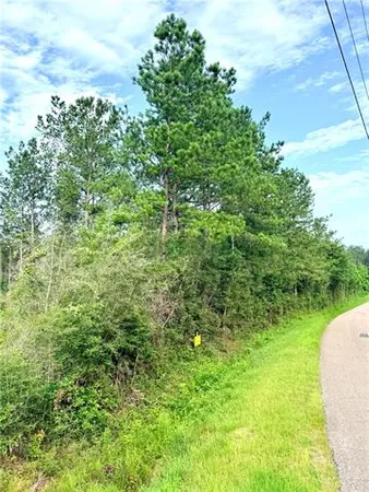 $69,000 | Lot1-a 5ac Lot1-a 5ac Lee Road, Franklinton, LA 70438