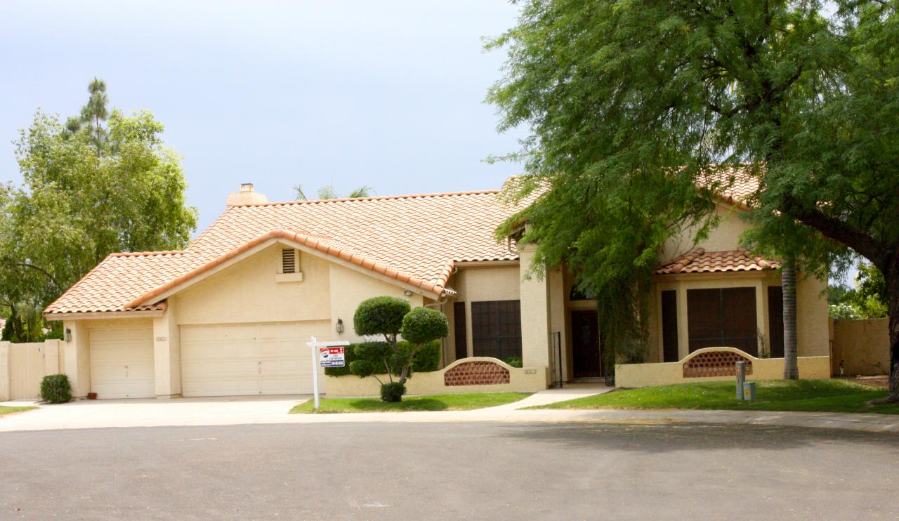 Rhea drive