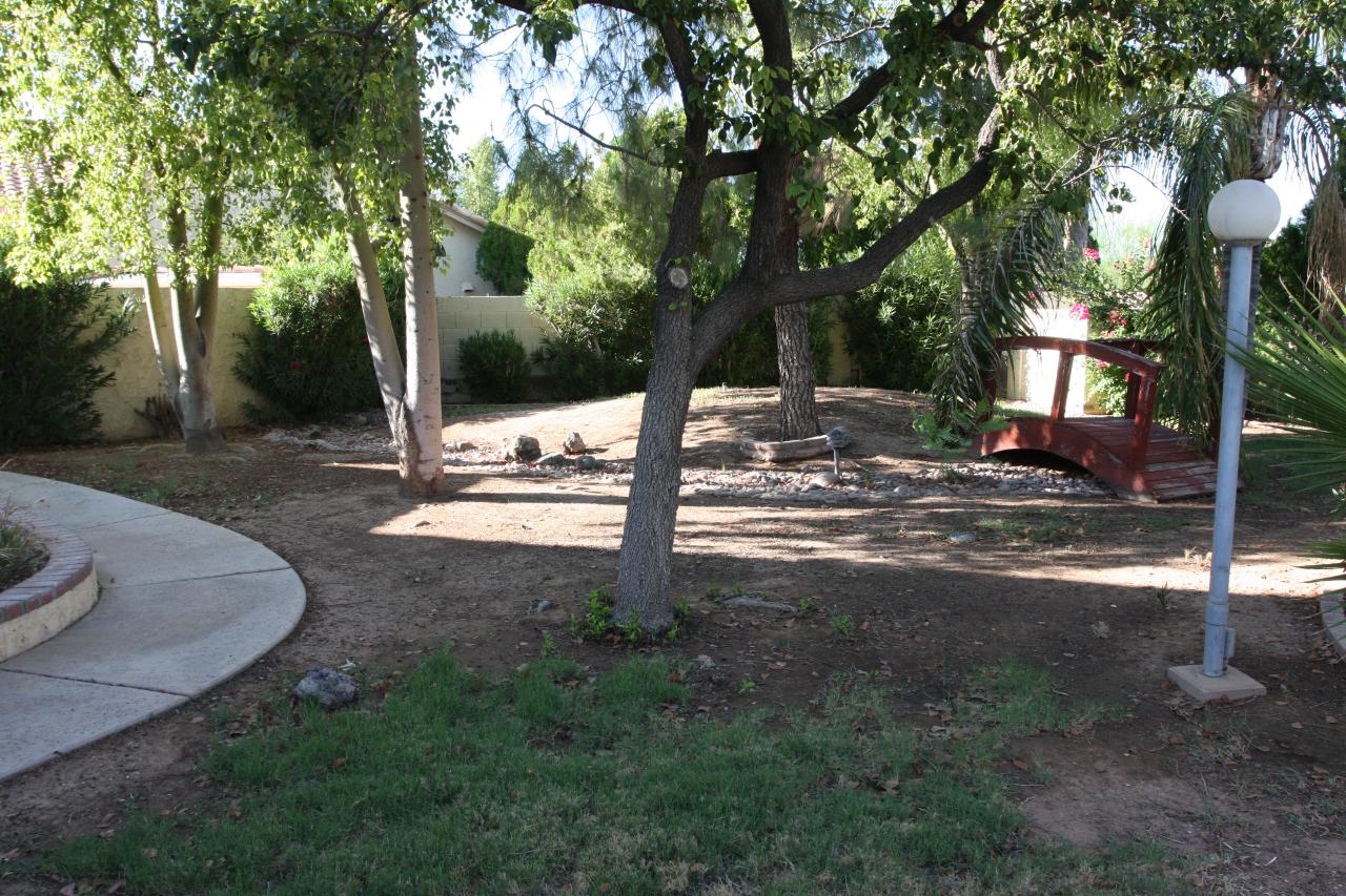 307 East Rhea Road Tempe, AZ 85284 - Photo 15 of 15 yard 5