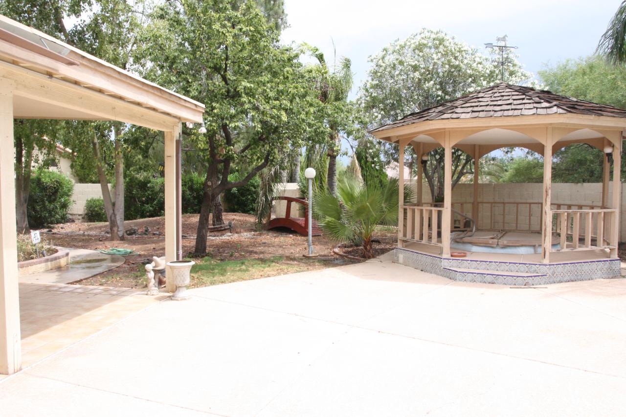 back yard