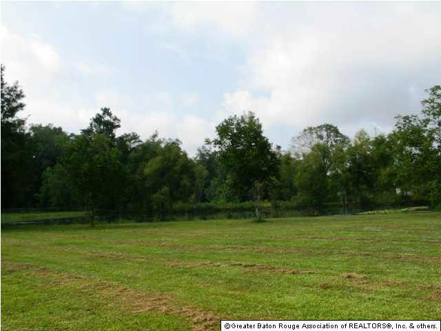 11396 Stringer Bridge Road St. Amant, LA 70774 - Photo 17 of 19 Gallery Image 17