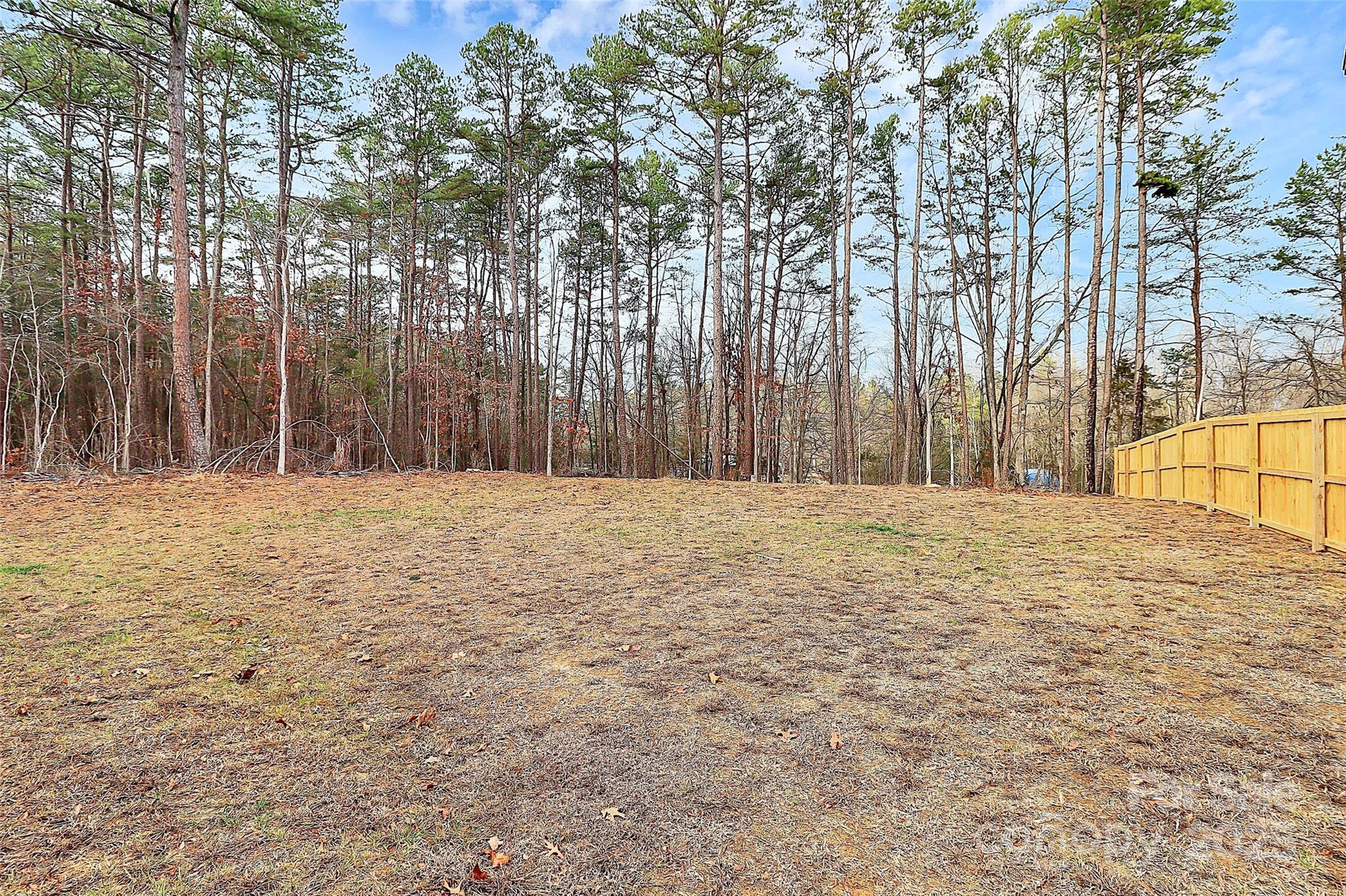6519 Pargo Road Charlotte, NC 28216 - Photo 37 of 37 a bathroom with a large tree