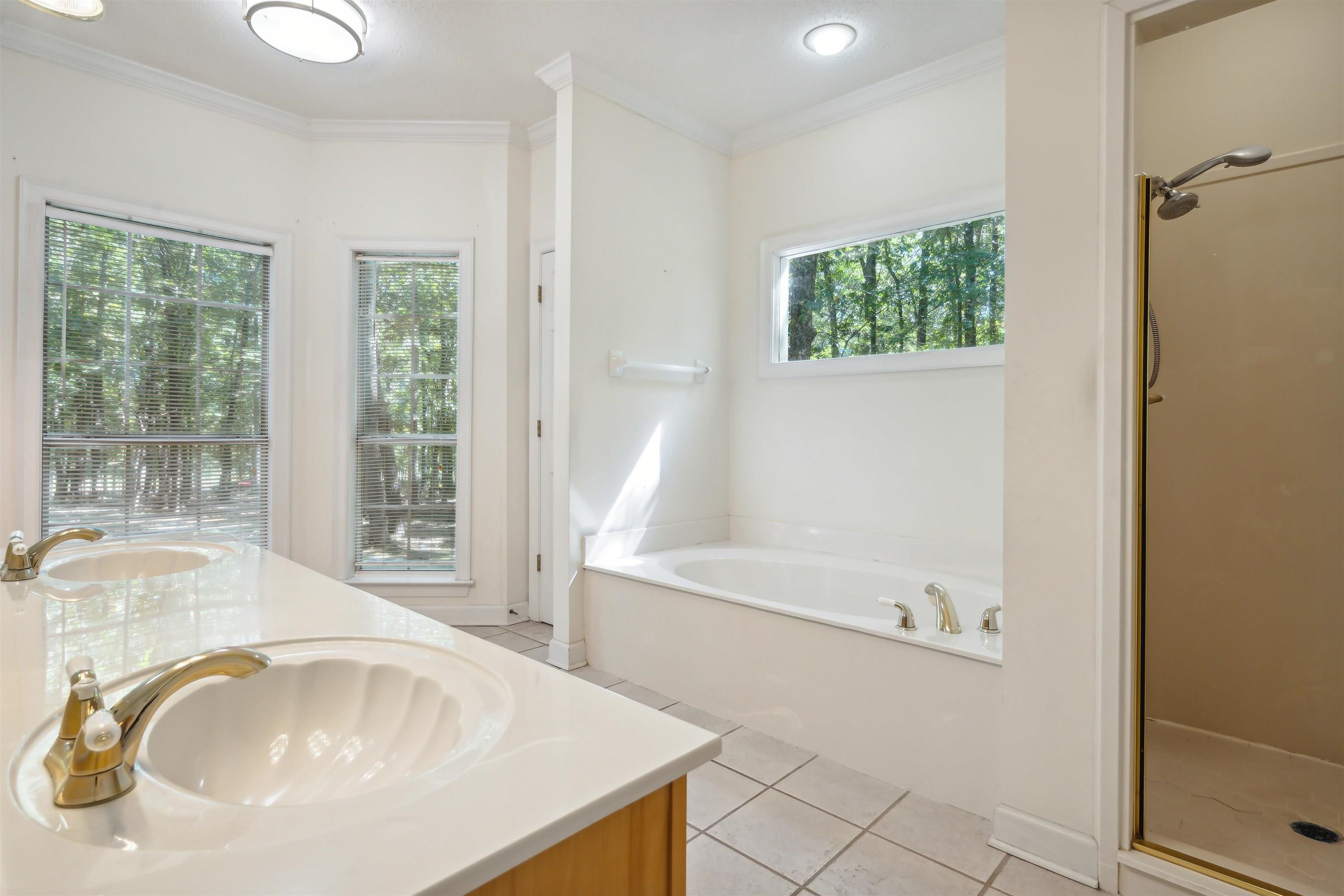3255 Highway 196 Piperton, TN 38017 - Photo 15 of 22 a bathroom with a tub a sink and a window