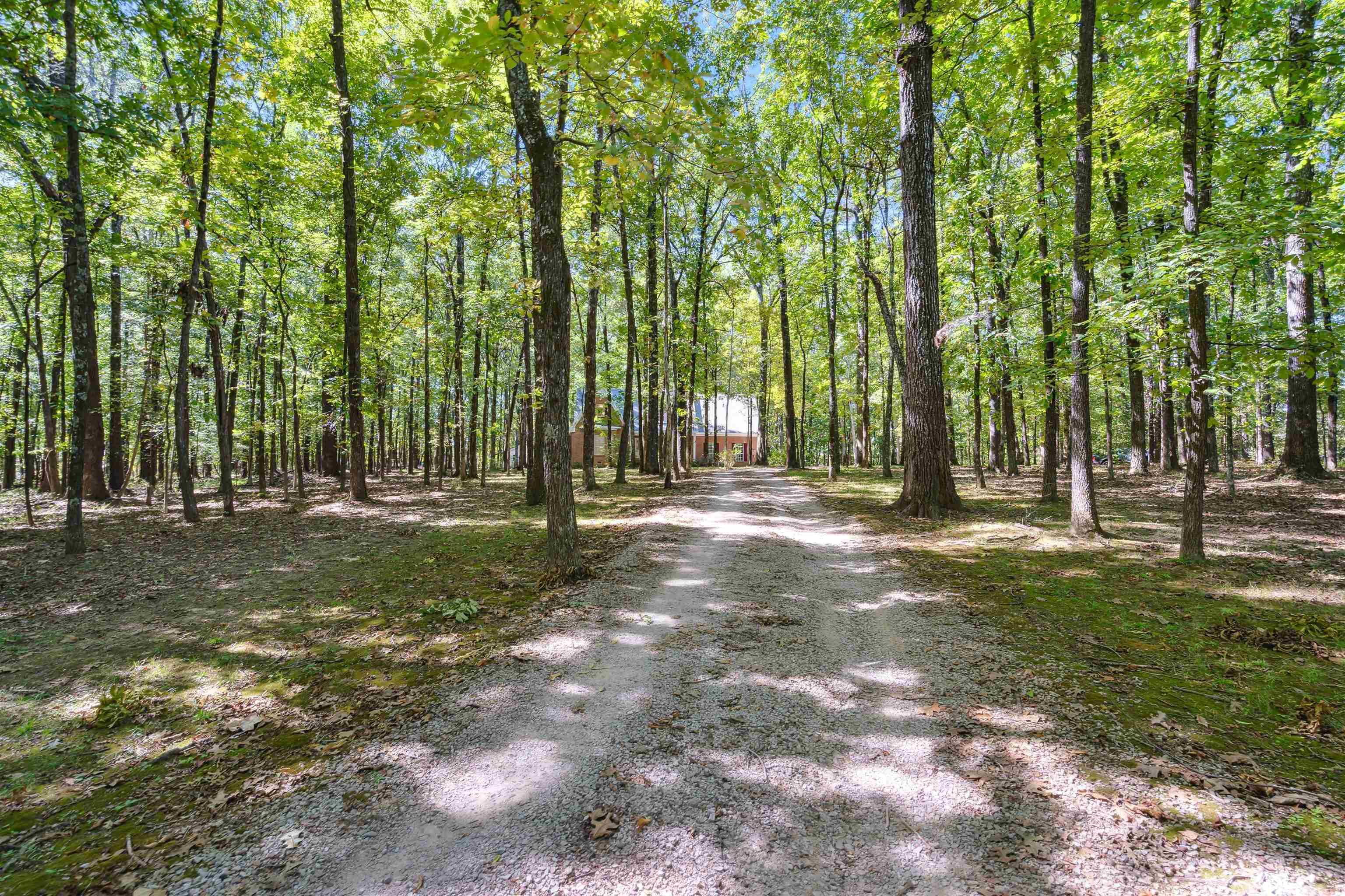 3255 Highway 196 Piperton, TN 38017 - Photo 2 of 22 a view of outdoor space with trees
