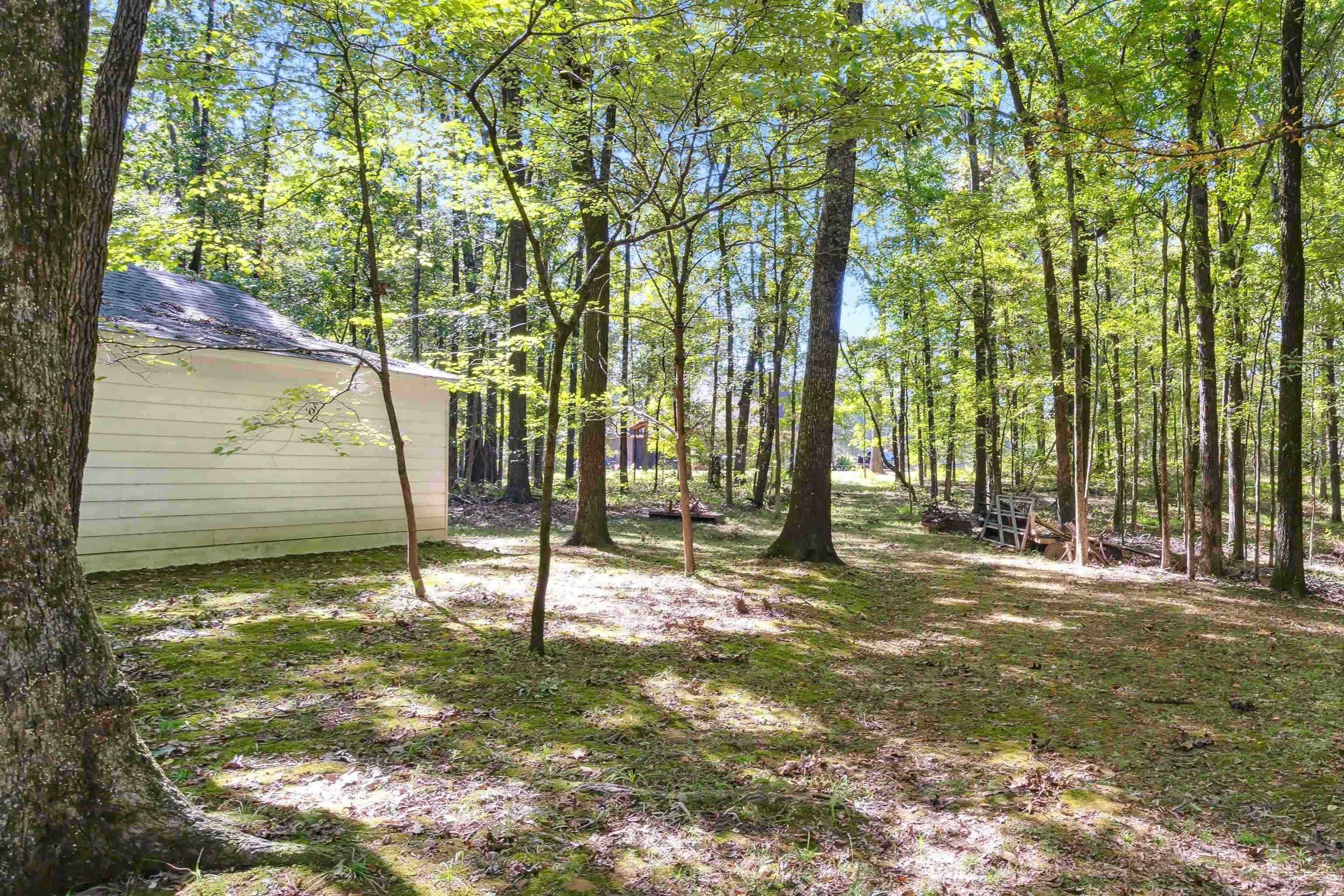 3255 Highway 196 Piperton, TN 38017 - Photo 4 of 22 a view of a yard with a tree