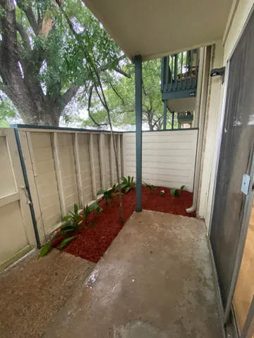 a view of a backyard with plants