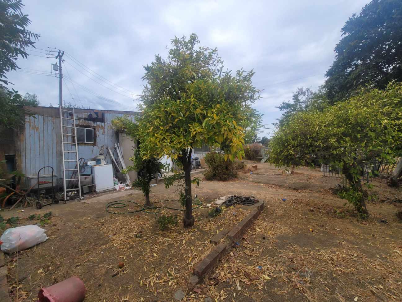 332 Lewis Street, Unit 1/2 Gilroy, CA 95020 - Photo 5 of 18 a view of a backyard with tree s