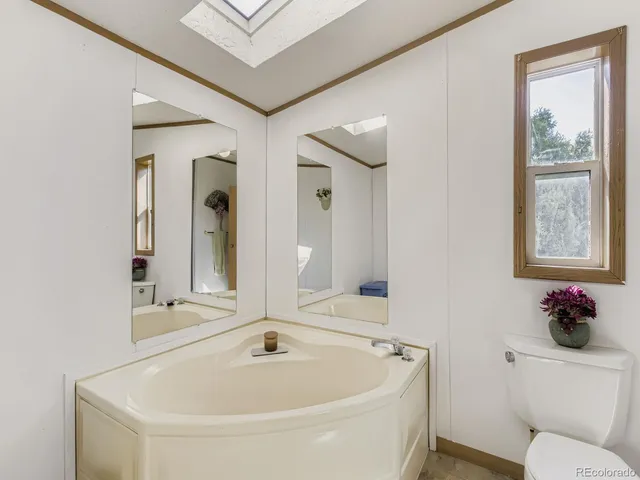 a bathroom with a toilet a sink and mirror