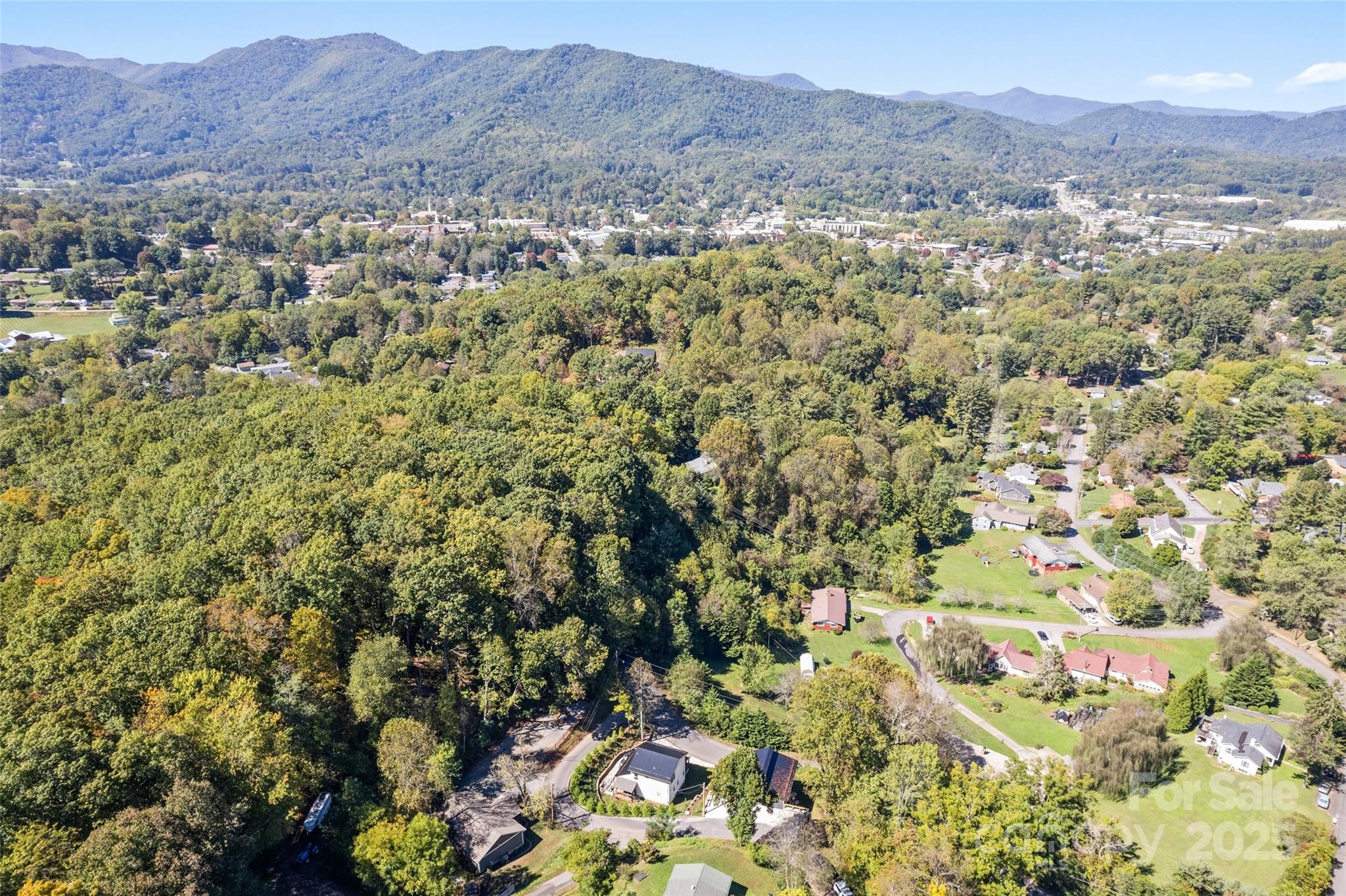 156 Burma Road Waynesville, NC 28786 - Photo 31 of 38 Gallery Image 31