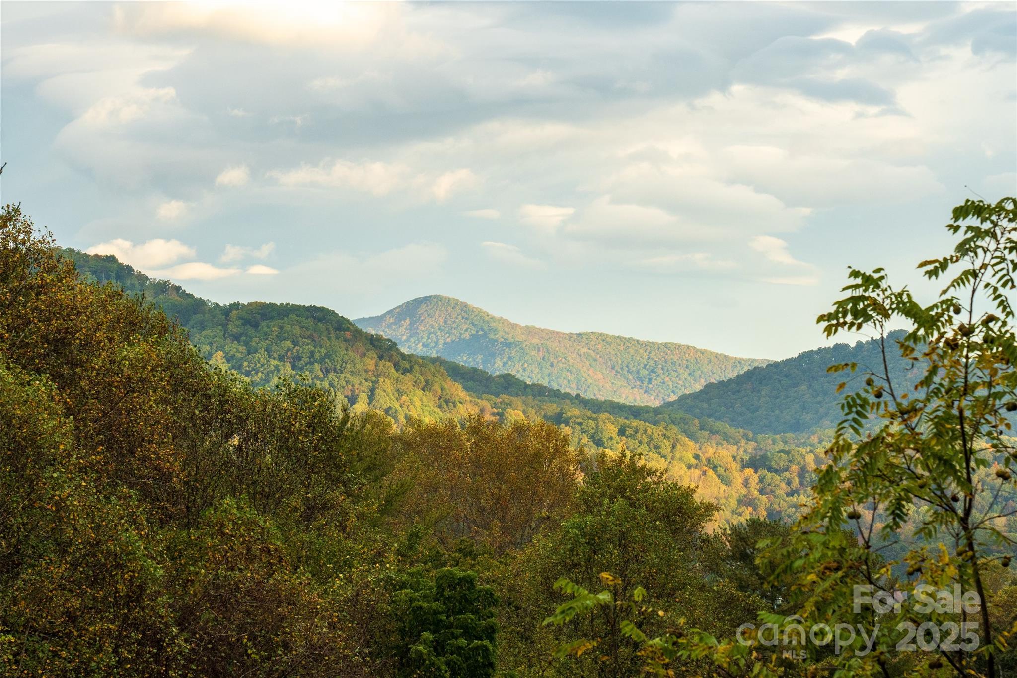 156 Burma Road Waynesville, NC 28786 - Photo 37 of 38 Gallery Image 37