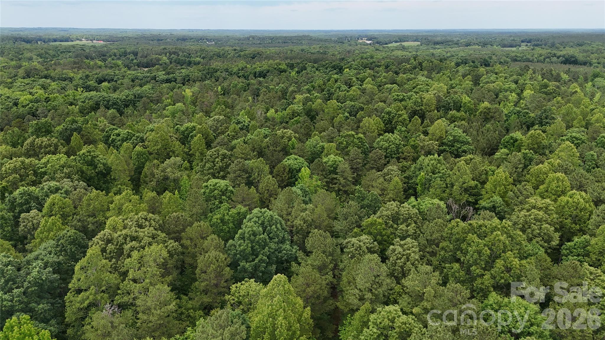 0 Herbert Faucette Road Bullock, NC 27507 - Photo 34 of 40