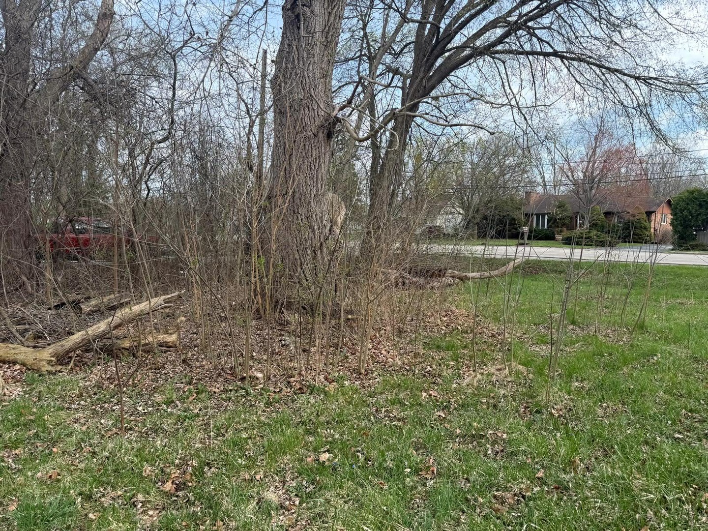 10802 West Yorkhouse Road Beach Park, IL 60087 - Photo 7 of 71