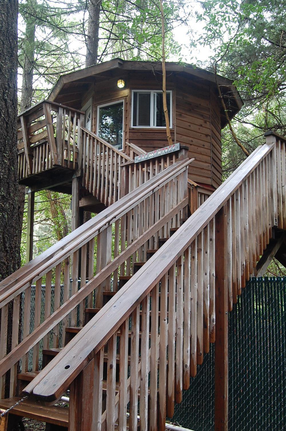 310 Page Creek Road Cave Junction, OR 97523 - Photo 25 of 31 Entrance to tree house