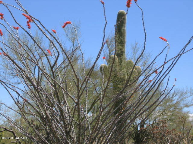 0 Unassigned Marana, AZ 85658 - Photo 1 of 17