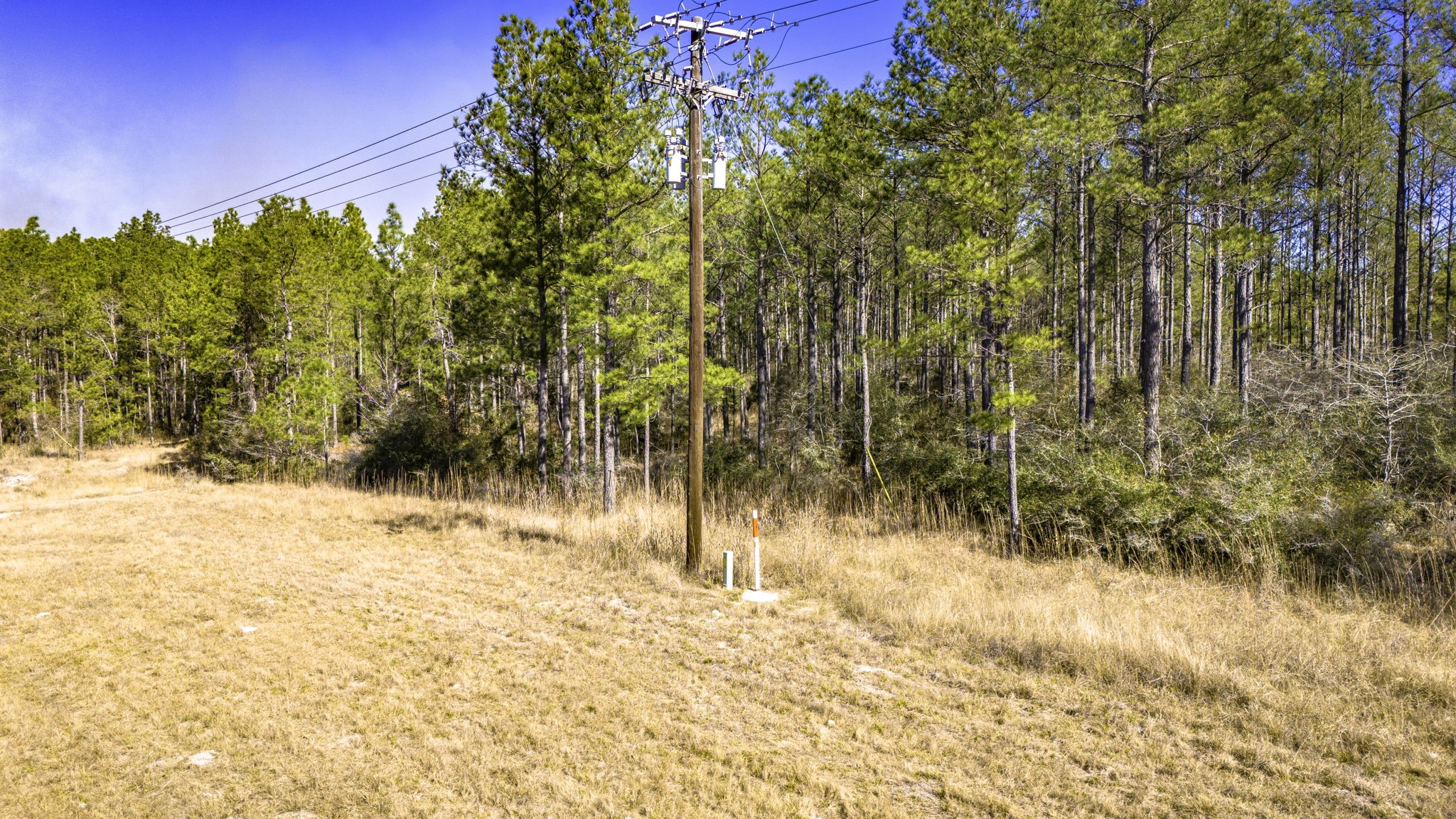 48 Fm 3459 Road Onalaska, TX 77360 - Photo 7 of 13