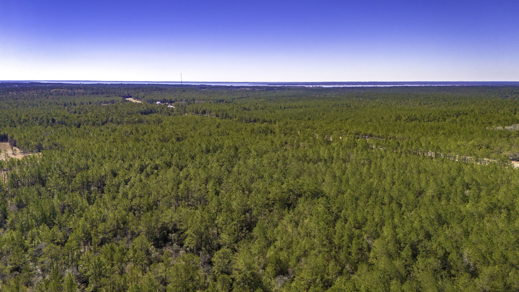 48 Fm 3459 Road Onalaska, TX 77360 - Photo 9 of 13