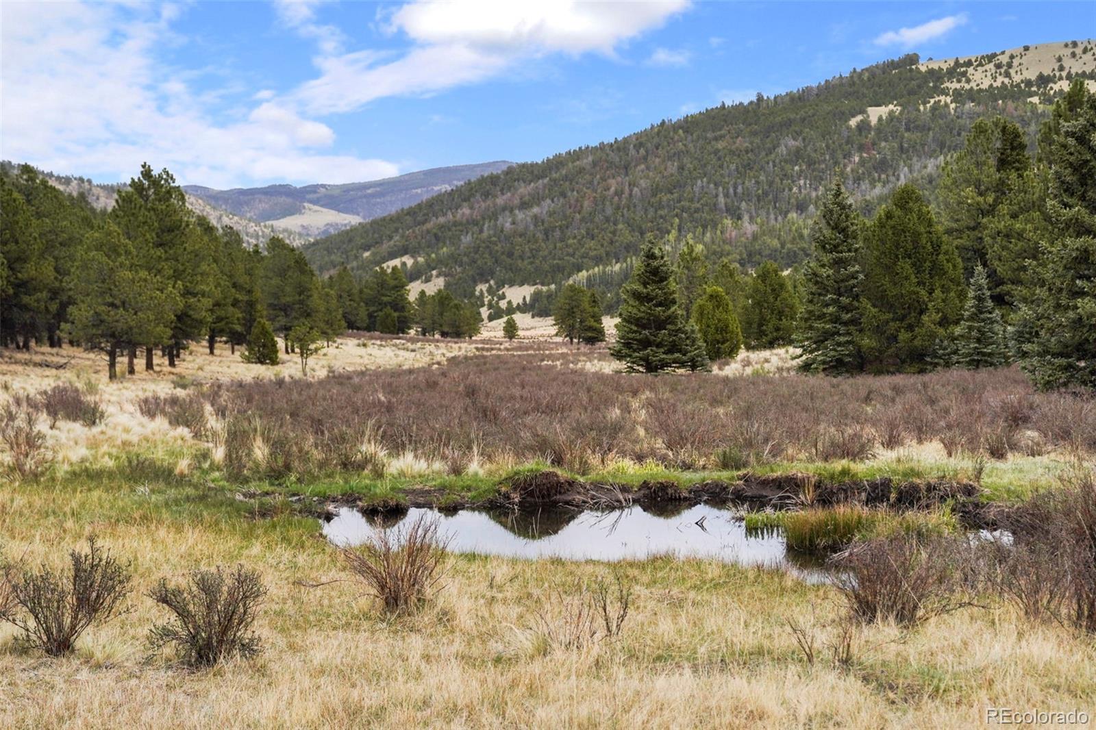 10801 County Road Del Norte, CO 81132 - Photo 37 of 48