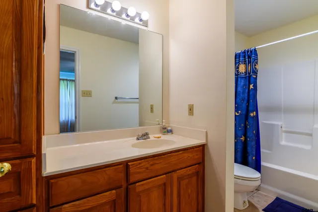 a bathroom with a sink a toilet and shower