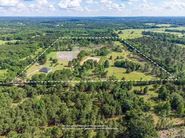 a view of a city with lush green forest