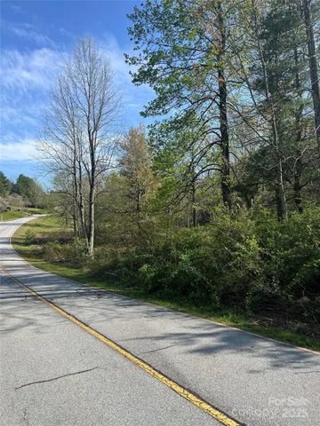 a view of a yard with plants and trees