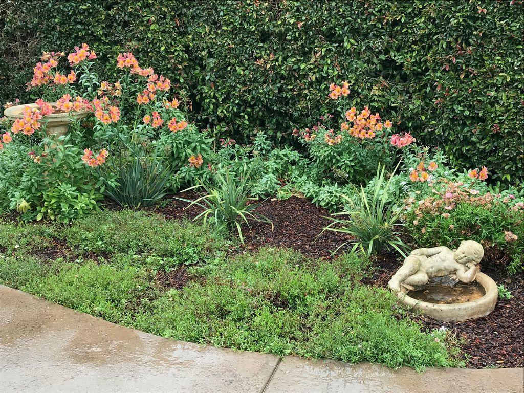 1741 Hillside Road Santa Barbara, CA 93101 - Photo 20 of 23 IS2rxuveo4cx1i0000000000