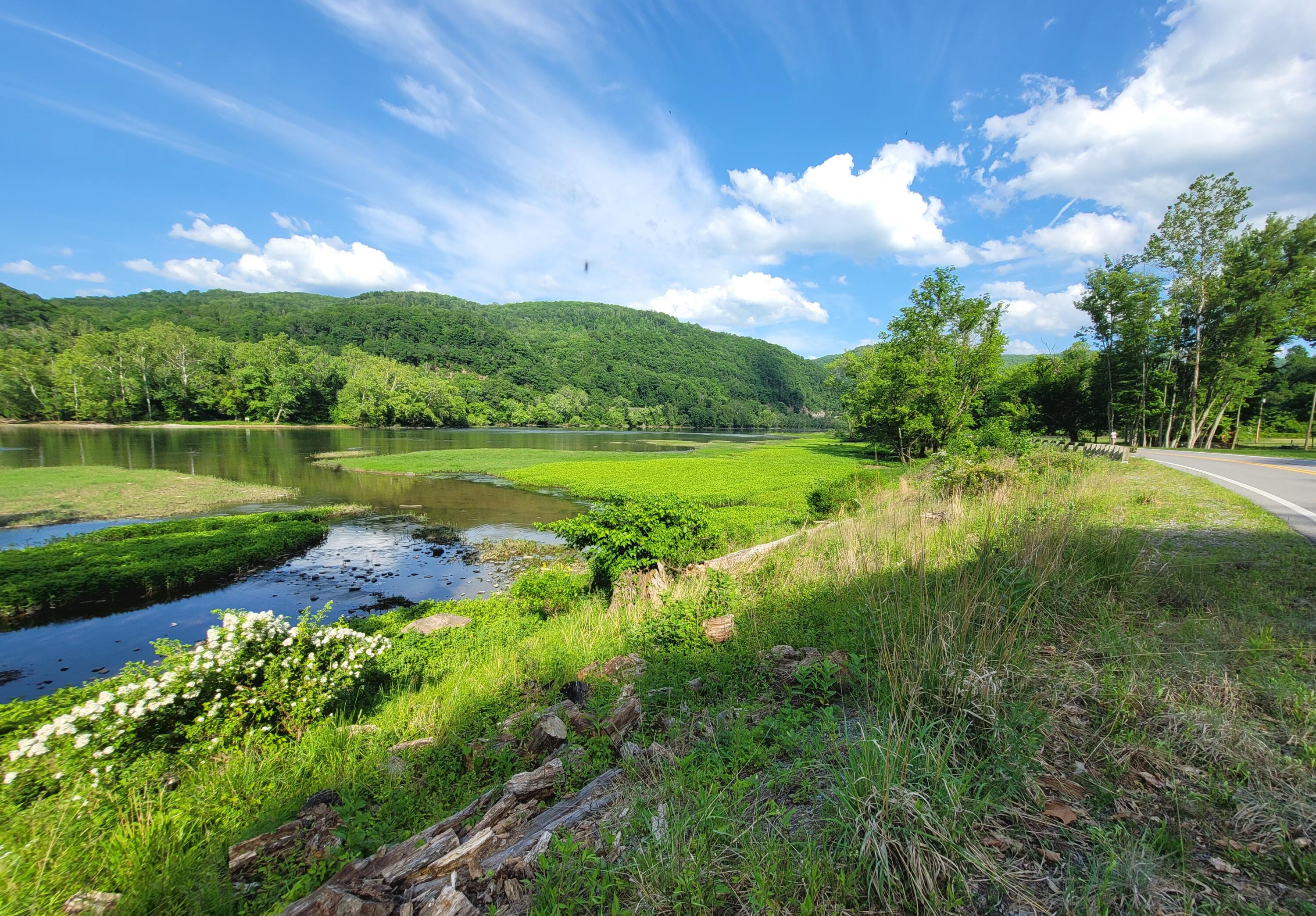 1353 New River Road Hinton, WV 25951 - Photo 15 of 35 20260519_172438