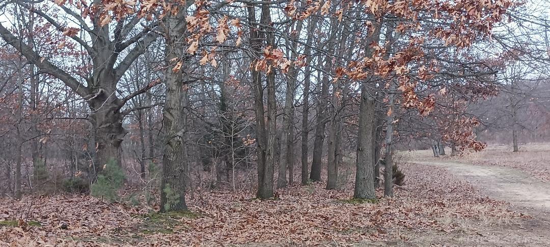 87573 County Road 668 Decatur, MI 49045 - Photo 2 of 5