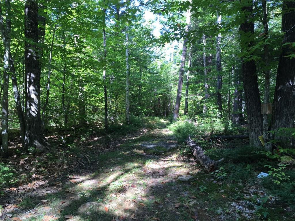 9 Island Road Fryeburg, ME 04037 - Photo 1 of 3 Photo