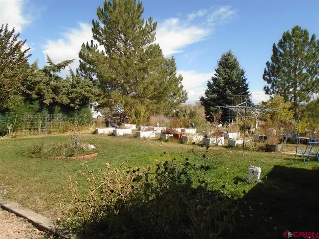 a view of a garden with an trees
