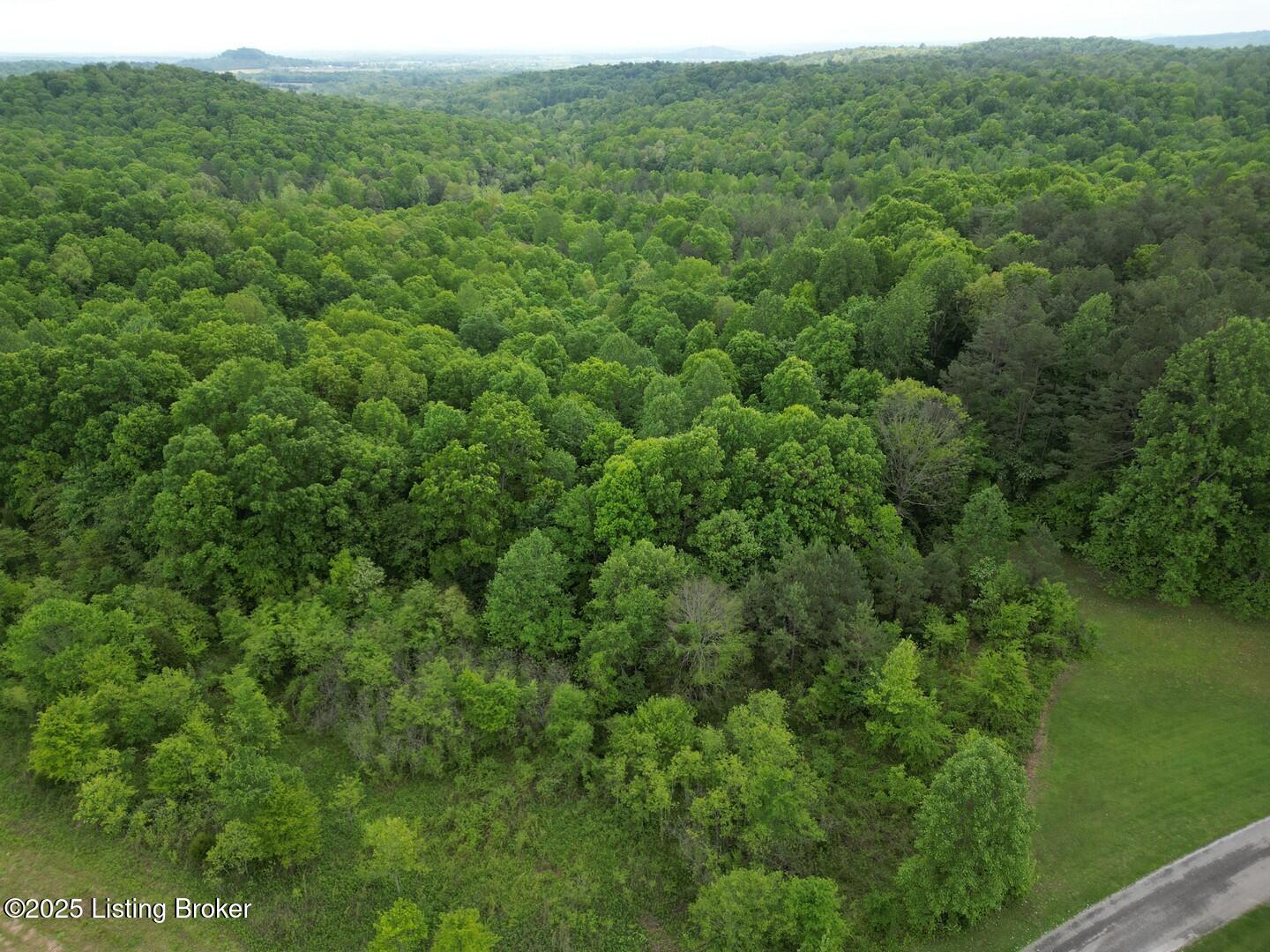 Lot 7 Duvall Road Caneyville, KY 42721 - Photo 4 of 5 L7-2