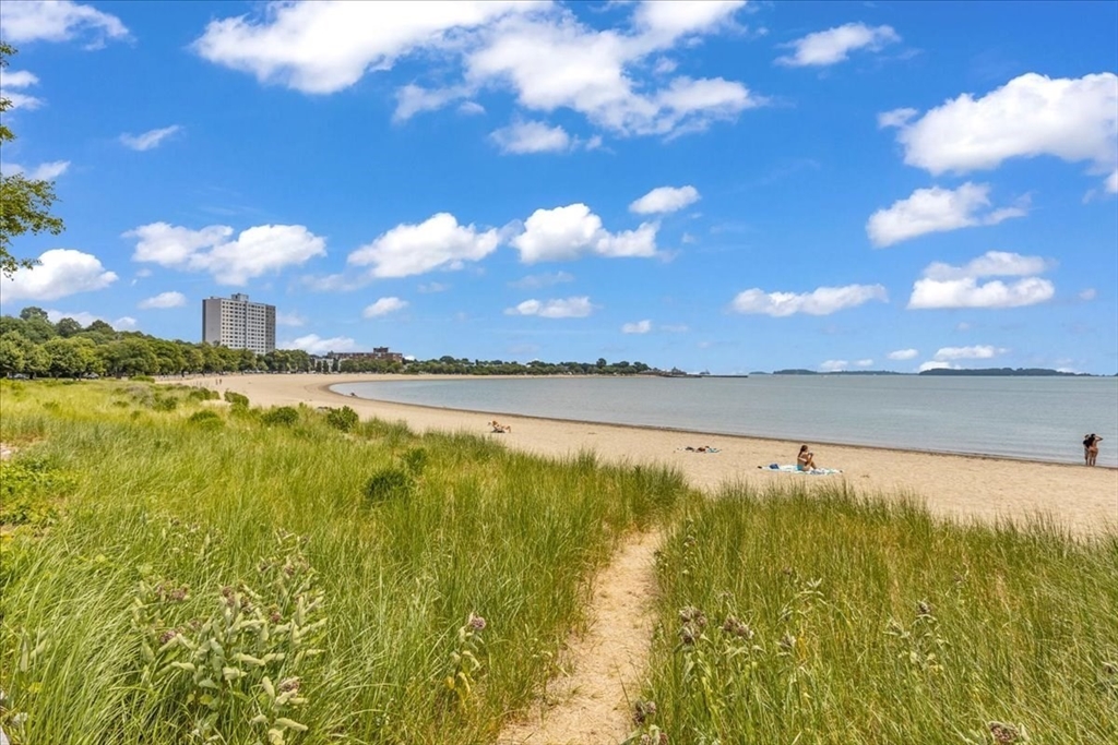 4 Springer Street Boston, MA 02127 - Photo 15 of 18 a view of an ocean from a building