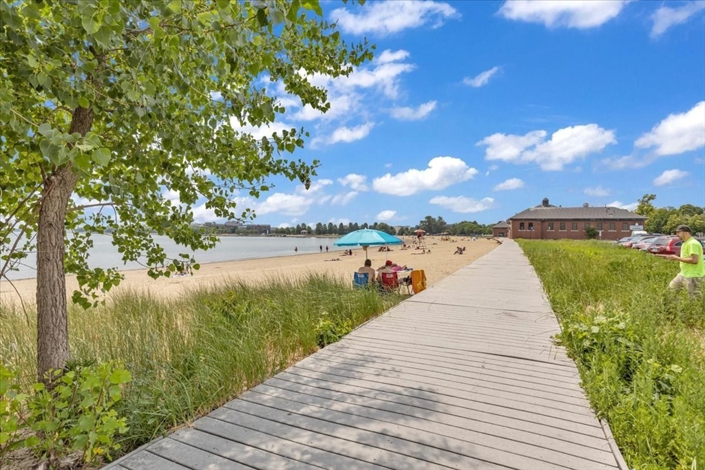4 Springer Street Boston, MA 02127 - Photo 17 of 18 a view of a lake with a large trees