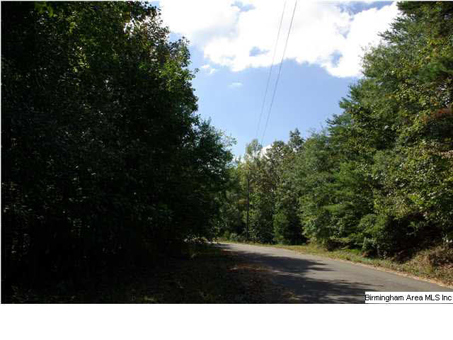 Turkey Ridge, Unit 11 Ragland, AL 35131 - Photo 19 of 31