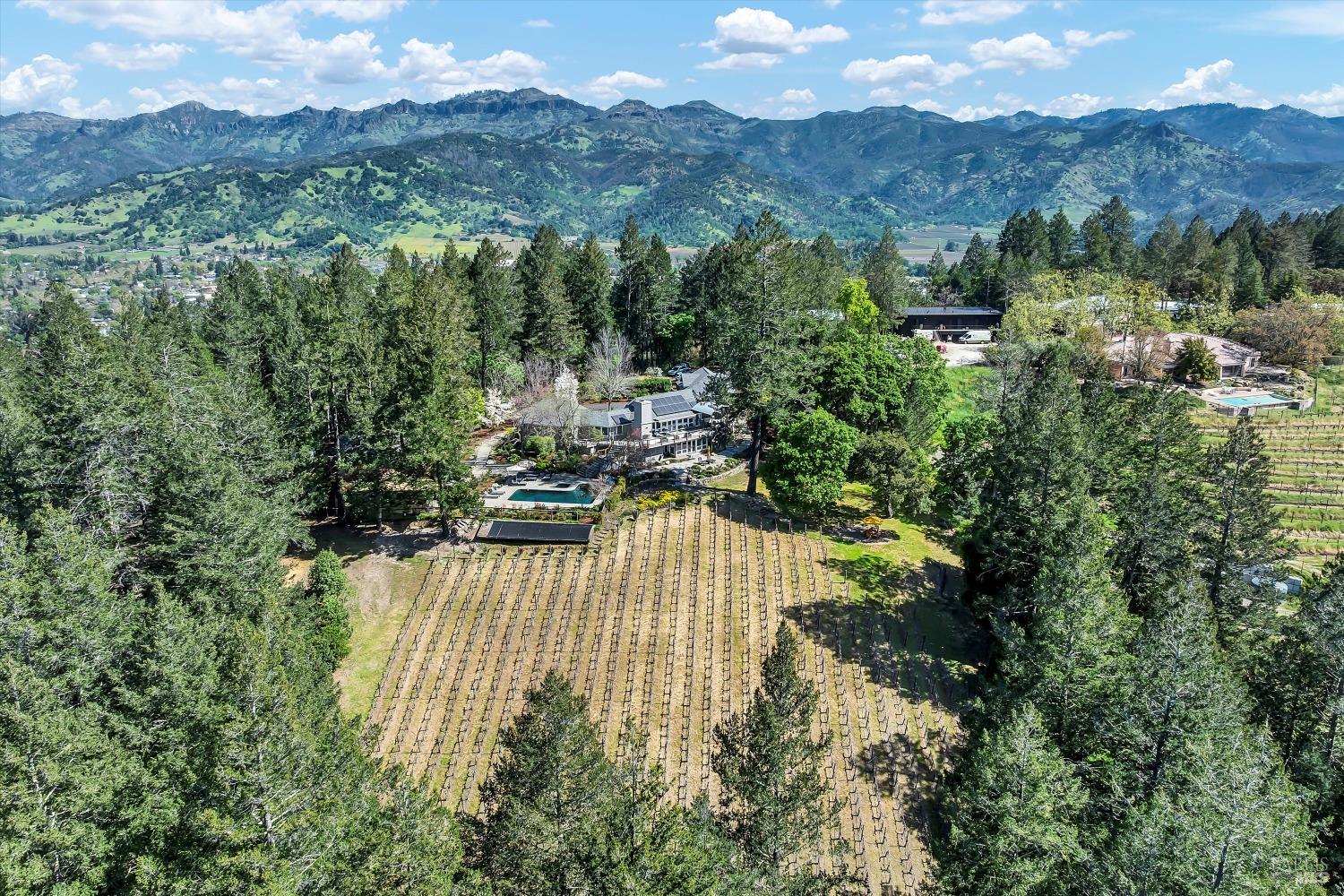 511 Kortum Canyon Road Calistoga, CA 94515 - Photo 83 of 87