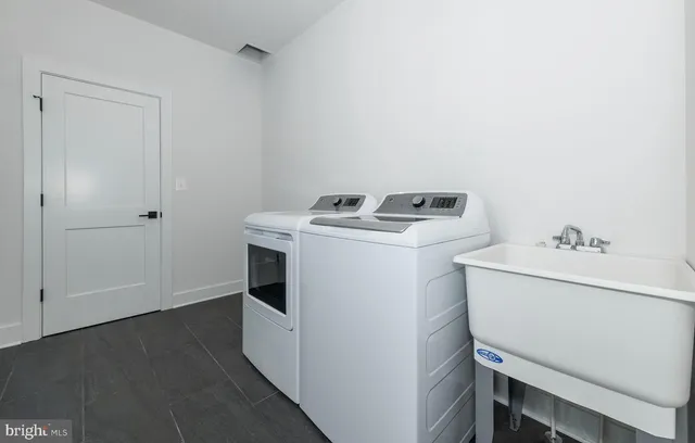 a view of a forest with trees in the background