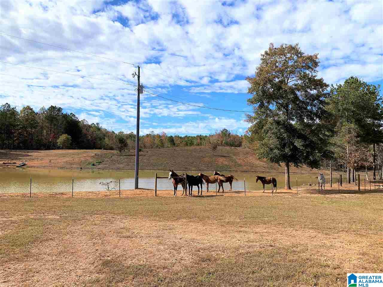 345 County Road 247 Fruithurst, AL 36262 - Photo 5 of 26