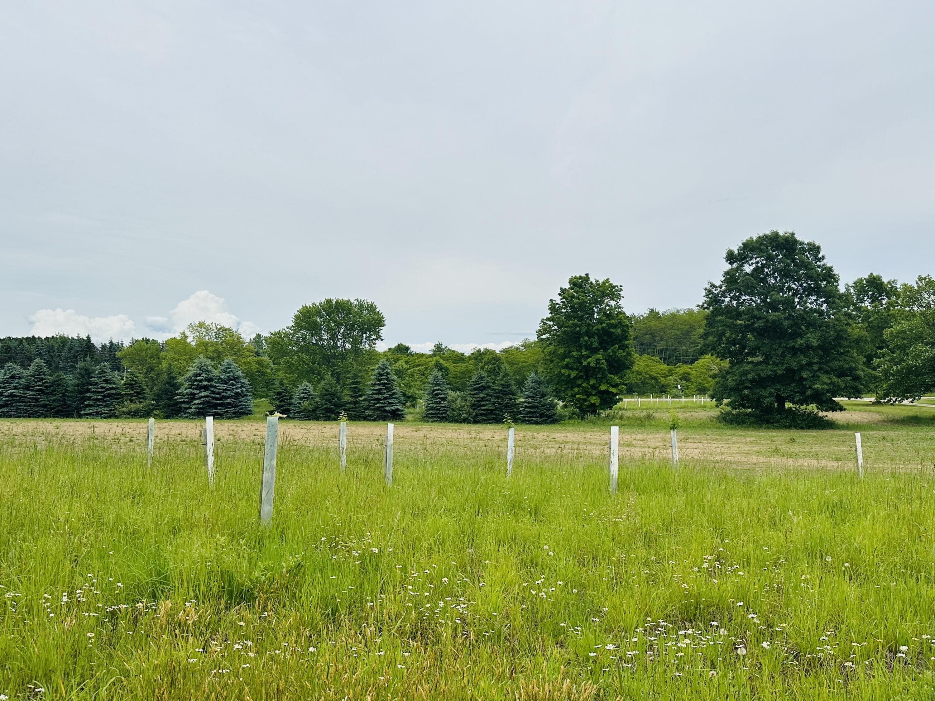 5372 Milarch Road Manistee, MI 49660 - Photo 10 of 41 IMG_8789