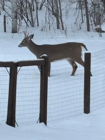 $345,000 | 765 Hilltop Lane, St. Croix Falls, WI 54024