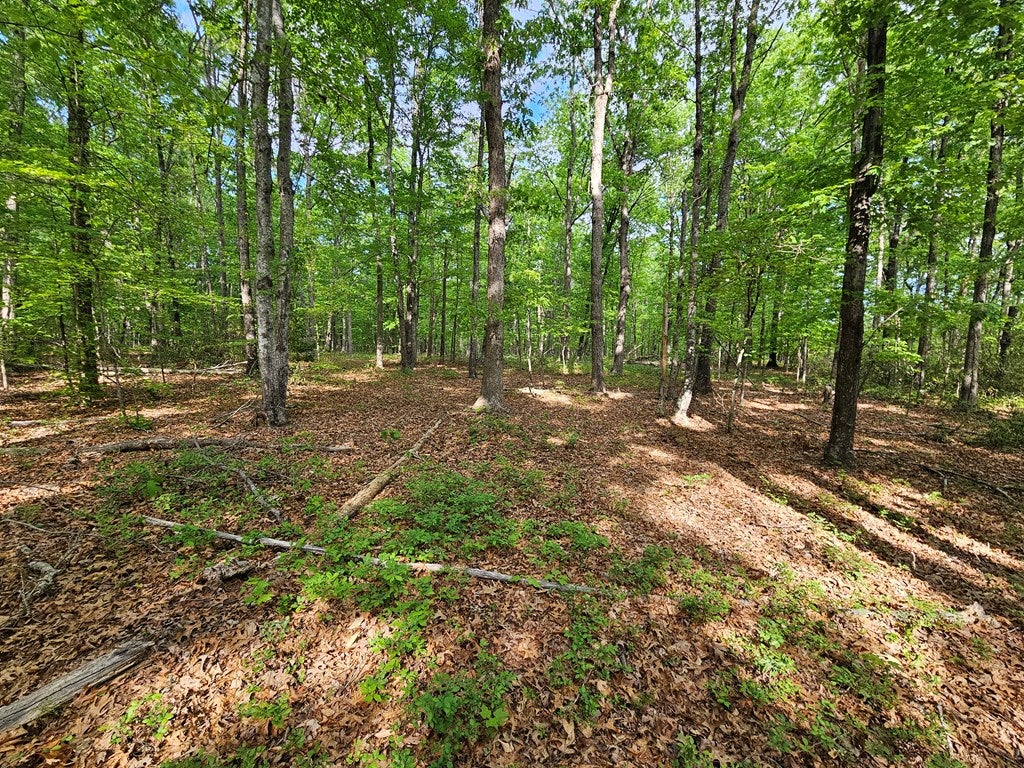 664 8.65 Ac Pond Road Buckingham, VA 23921 - Photo 15 of 20 Gallery Image 15