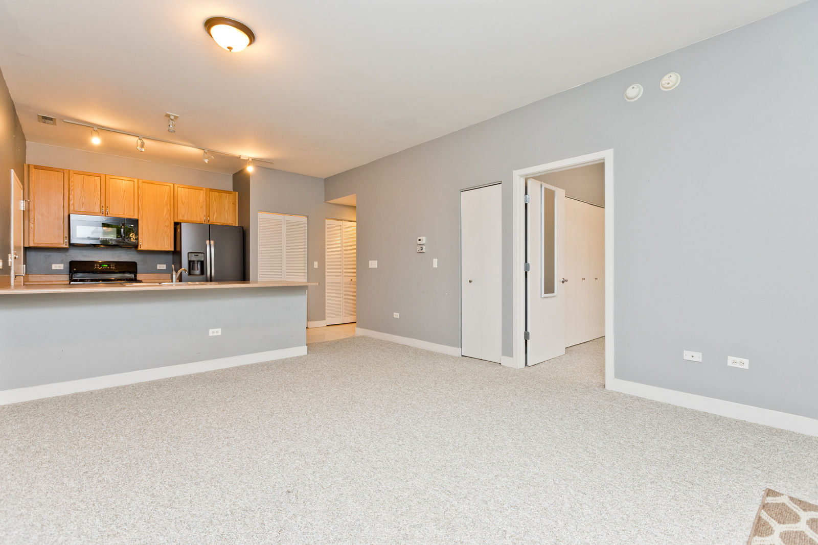 1515 South Halsted Street, Unit 214 Chicago, IL 60607 - Photo 5 of 15