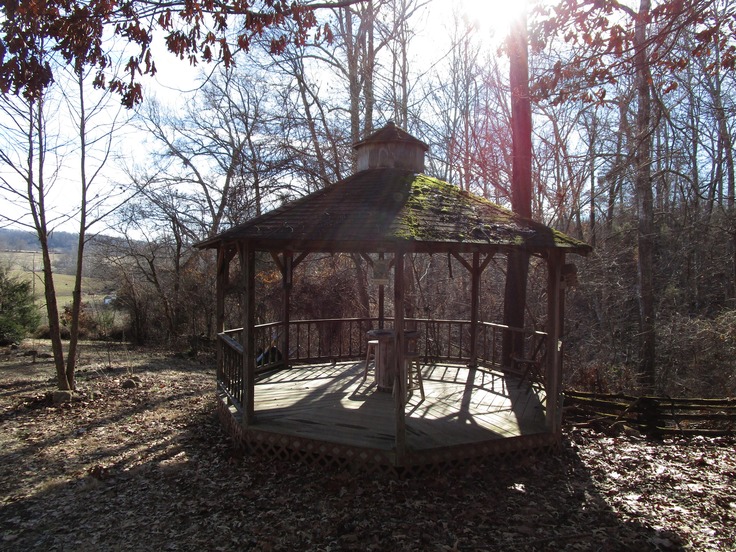 538 Bayless Road Jonesborough, TN 37659 - Photo 14 of 61 IMG_4153