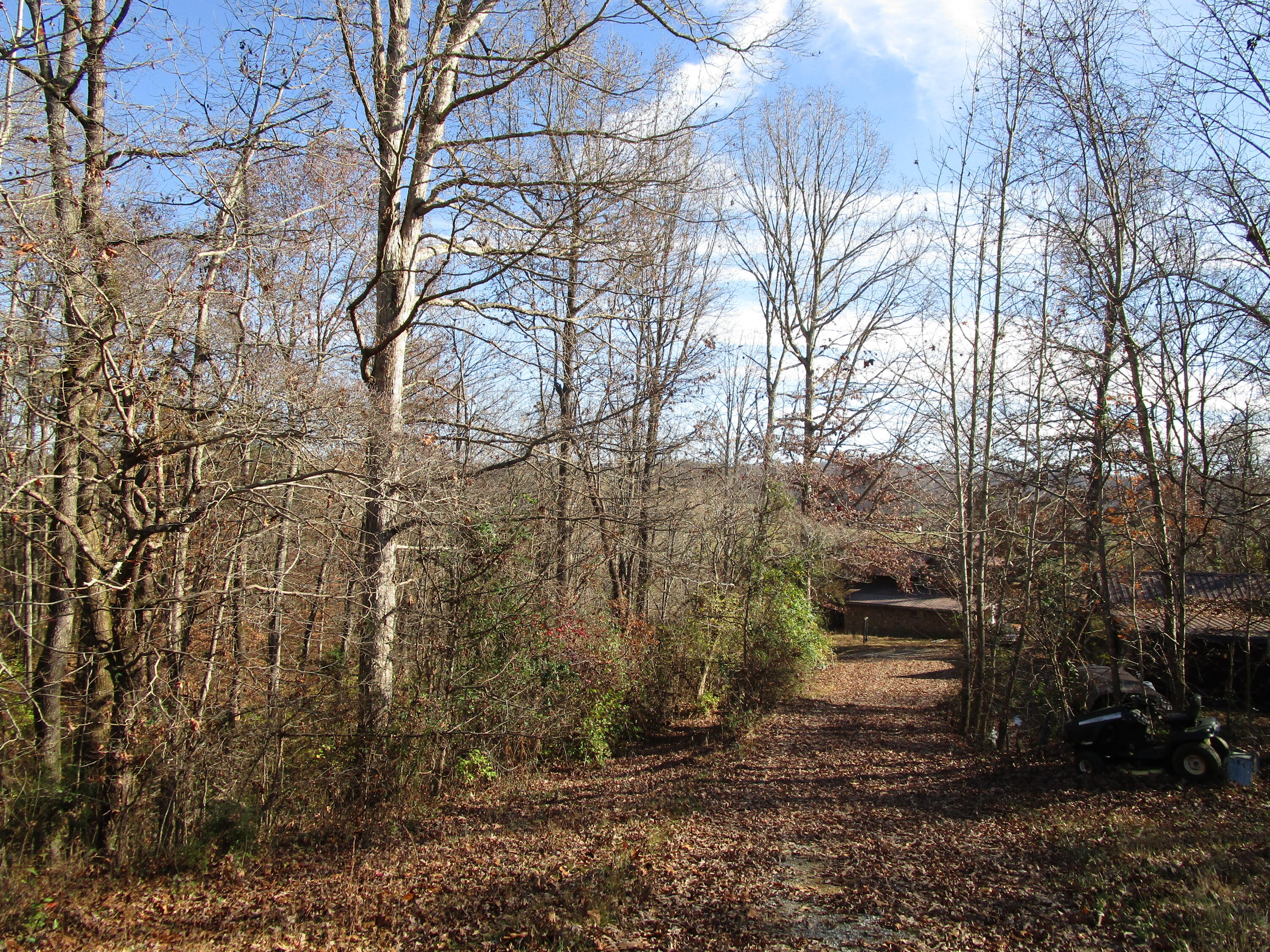 538 Bayless Road Jonesborough, TN 37659 - Photo 19 of 61 IMG_4097