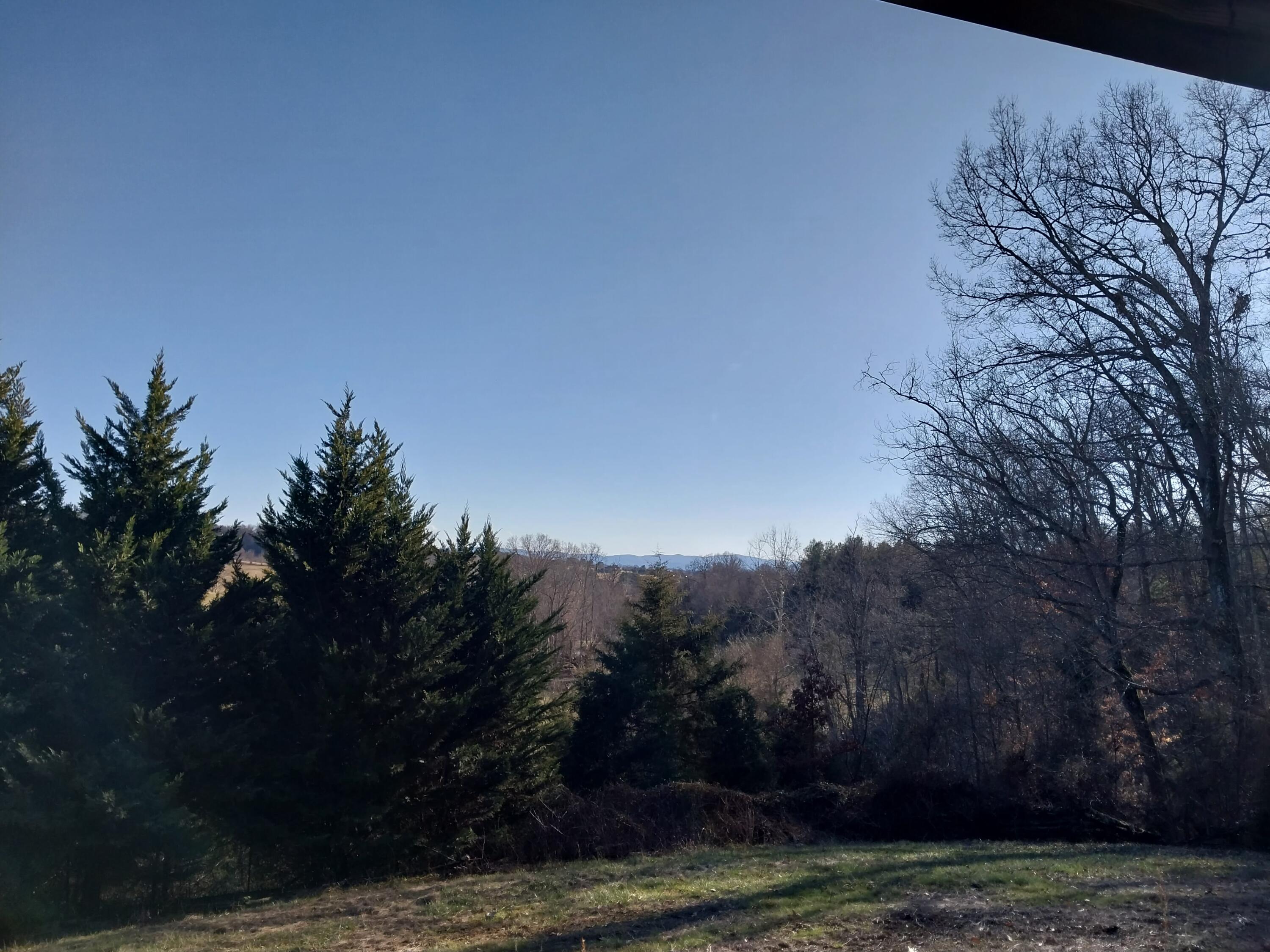 538 Bayless Road Jonesborough, TN 37659 - Photo 61 of 61 IMG_20230119_153733