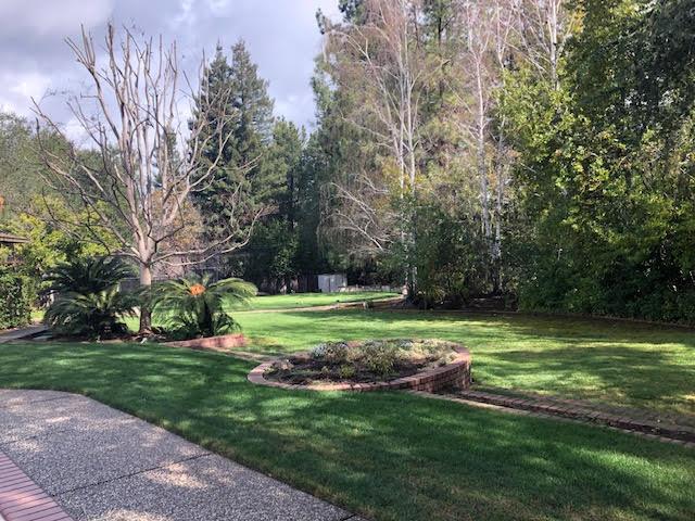 14072 Okanogan Drive Saratoga, CA 95070 - Photo 3 of 7 a view of a park with large trees