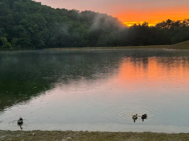 $55,000 | 1769 Longbranch Drive, Ranger, GA 30734