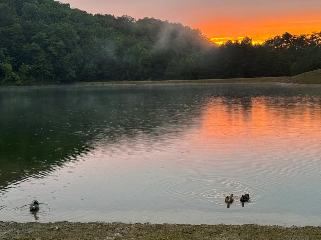 1769 Longbranch Drive Ranger, GA 30734 - Photo 17 of 26