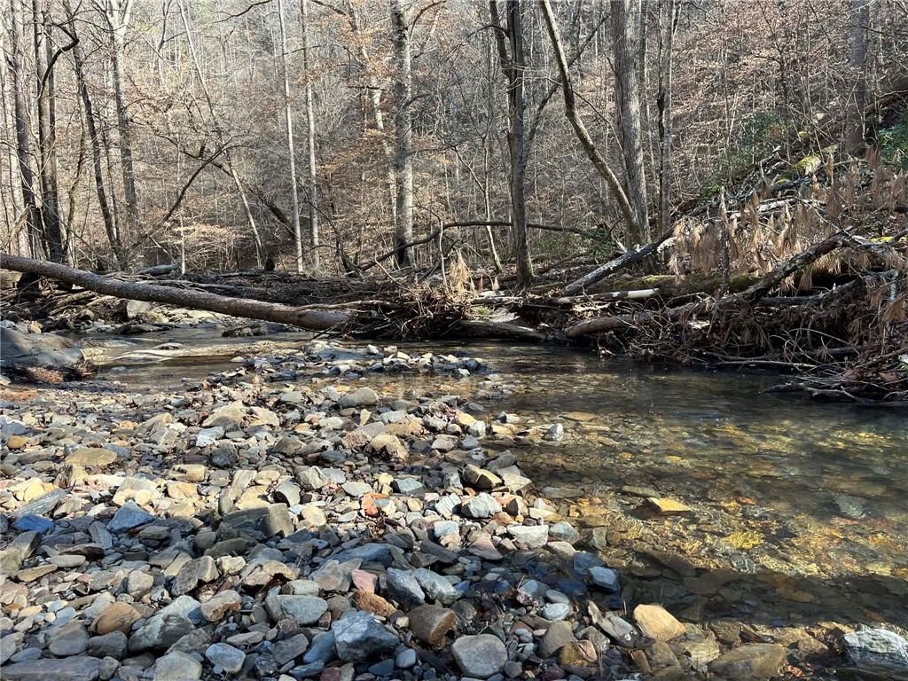 1769 Longbranch Drive Ranger, GA 30734 - Photo 2 of 26