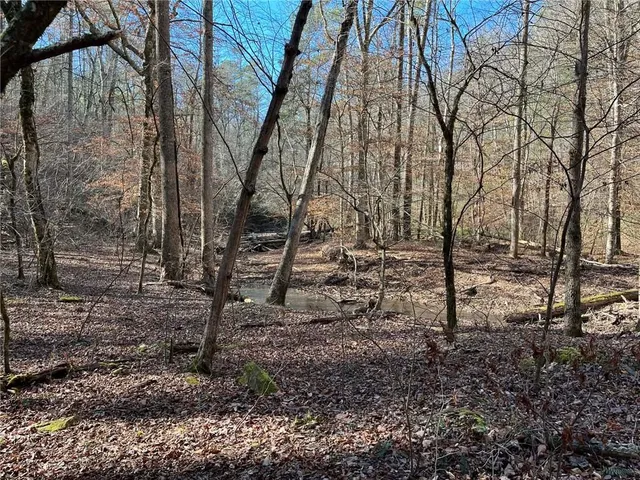 $55,000 | 1769 Longbranch Drive, Ranger, GA 30734