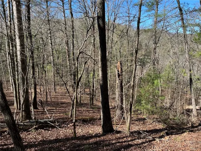 $55,000 | 1769 Longbranch Drive, Ranger, GA 30734